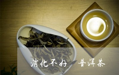 消化不好 普洱茶/2023041042703